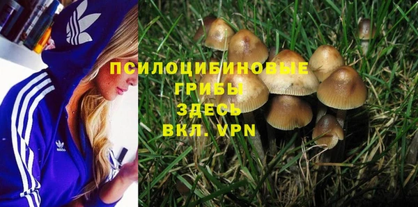 ешки Ельня