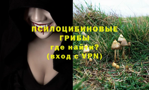 стафф Балахна