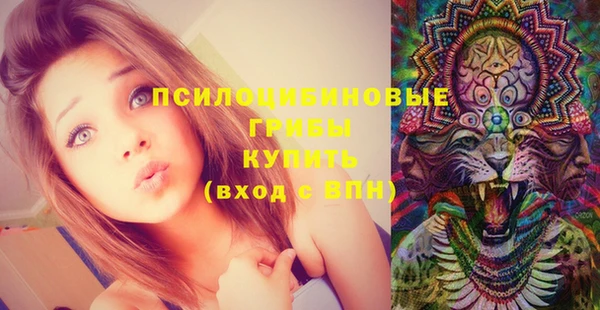 стафф Балахна