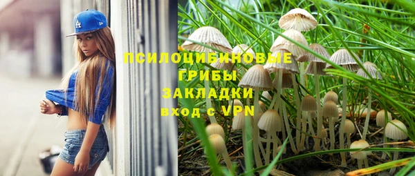 стафф Балахна